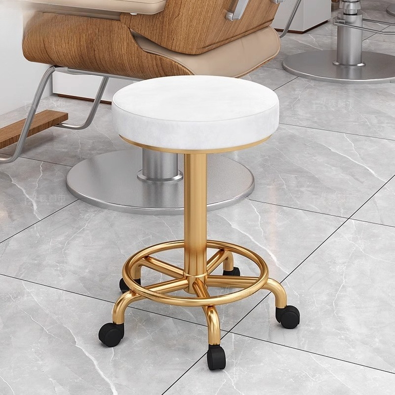 Modern Simple Beauty Stool Pro - Beauty Makeup Chair recension och pris